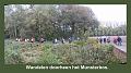 Herfstwandeling op 20-10-2013 (13)